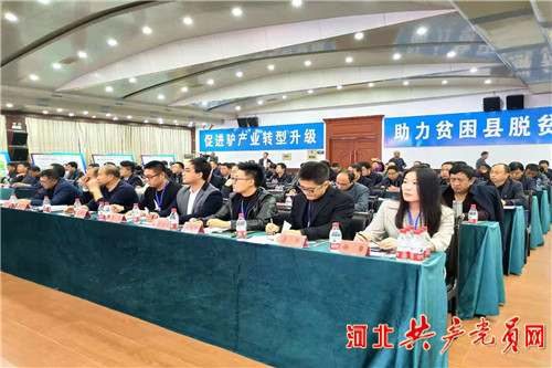 阳原小毛驴产业 (阳原小毛驴养殖)