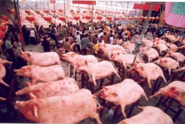 为什么很多潮汕人都在深圳长大,为什么深圳潮汕人这么牛