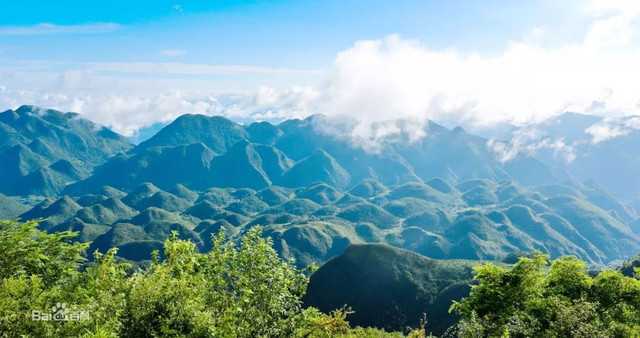 成都5小时飚拢达州万源,达州灯影牛肉和南坝灯影牛肉