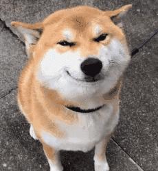 怎么拍内衣,内衣怎么拍实物