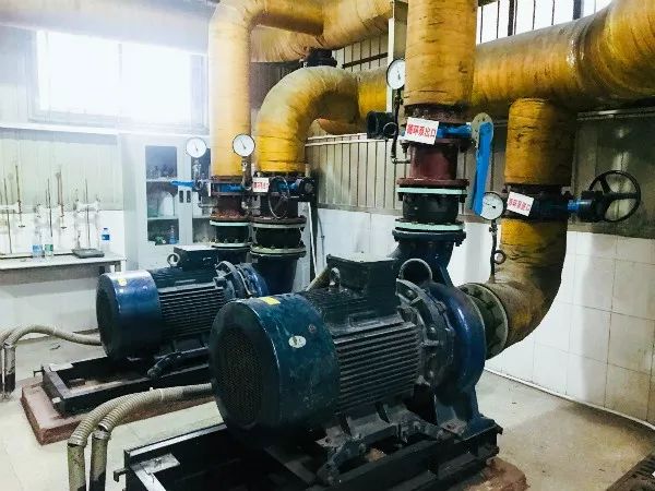 「编辑让我来」暖气不热？团子潜入天财供热站帮你加加水