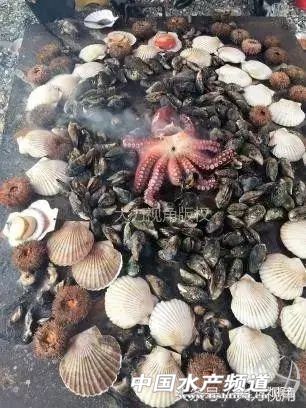 鏈濋矞榛勬捣娴烽矞,鏈濋矞娴峰煙鐗硅壊娴烽矞