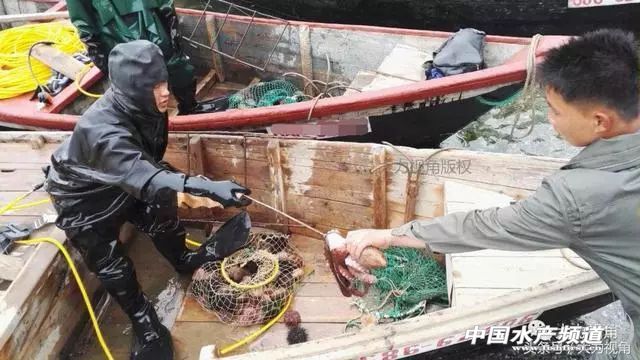 鏈濋矞榛勬捣娴烽矞,鏈濋矞娴峰煙鐗硅壊娴烽矞