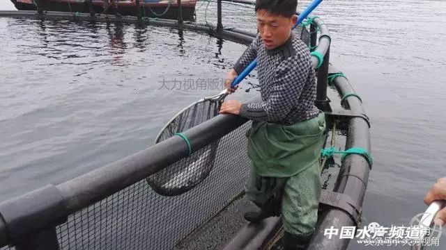 鏈濋矞榛勬捣娴烽矞,鏈濋矞娴峰煙鐗硅壊娴烽矞