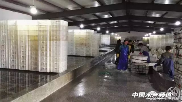 鏈濋矞榛勬捣娴烽矞,鏈濋矞娴峰煙鐗硅壊娴烽矞