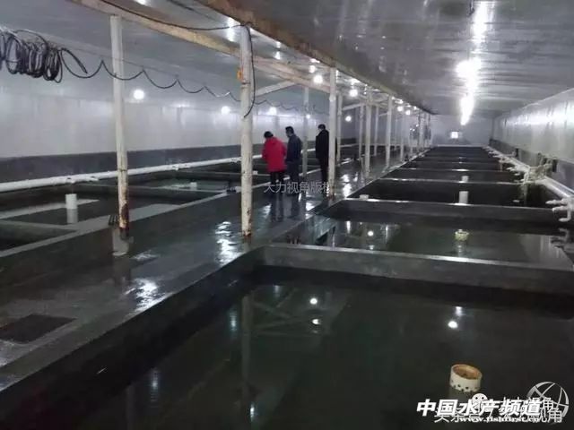 鏈濋矞榛勬捣娴烽矞,鏈濋矞娴峰煙鐗硅壊娴烽矞