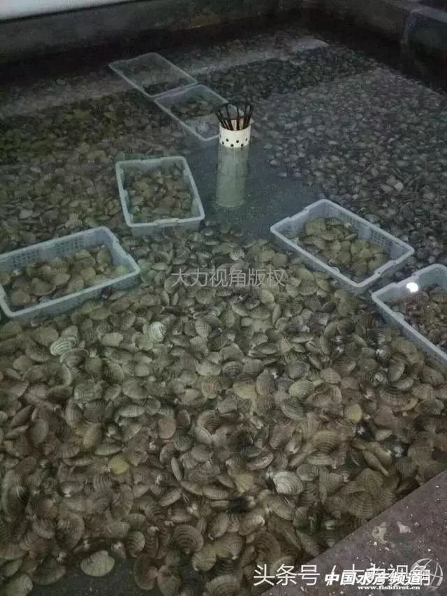 鏈濋矞榛勬捣娴烽矞,鏈濋矞娴峰煙鐗硅壊娴烽矞