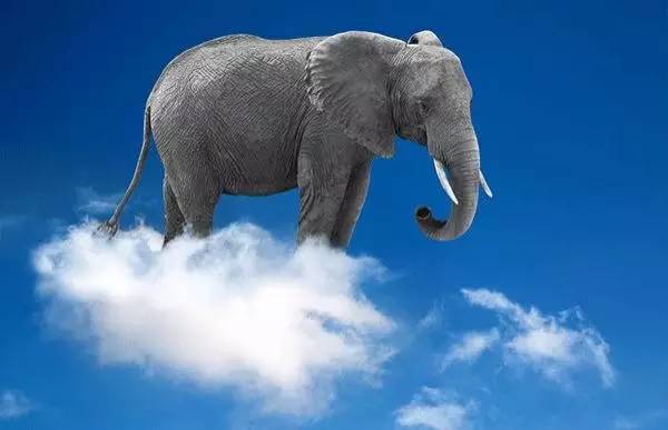 「冷知识」云比大象重、狮子爱CK香水