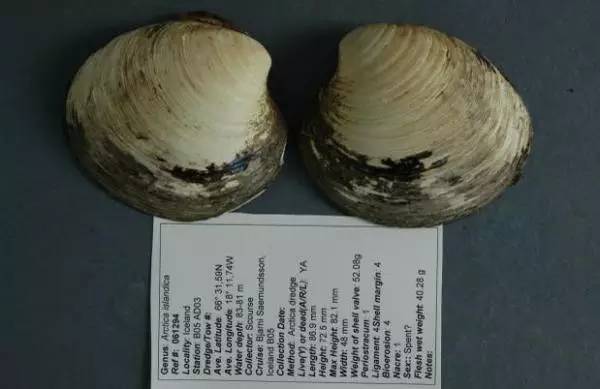 「冷知识」云比大象重、狮子爱CK香水