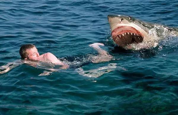 「冷知识」云比大象重、狮子爱CK香水