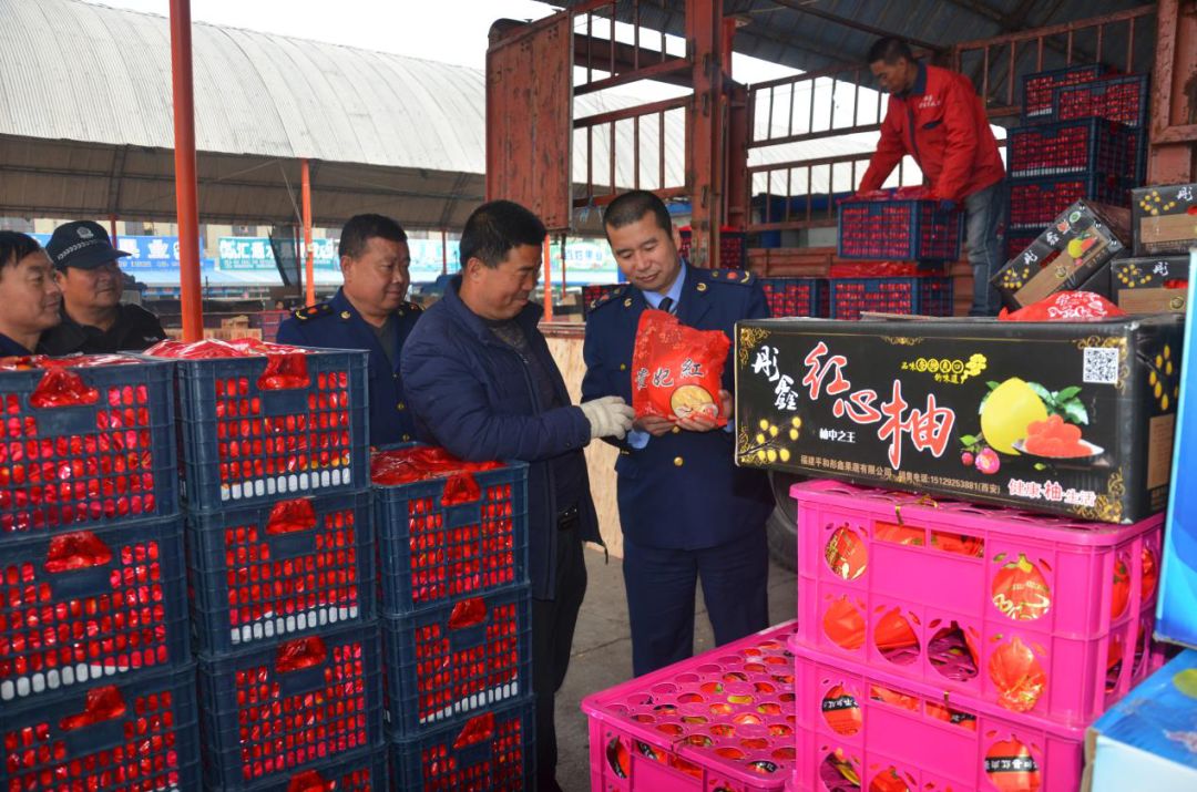 庆阳正宁新闻最新消息,甘肃庆阳镇原县今天新闻