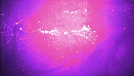 1000ml才100多的发酵水，补水修复效果秒千元大牌，什么来头？