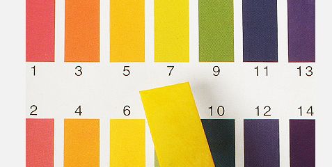 1000ml才100多的发酵水，补水修复效果秒千元大牌，什么来头？