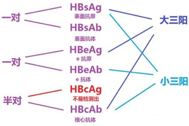大三阳比小三阳肝病更重吗,大三阳比小三阳更严重吗