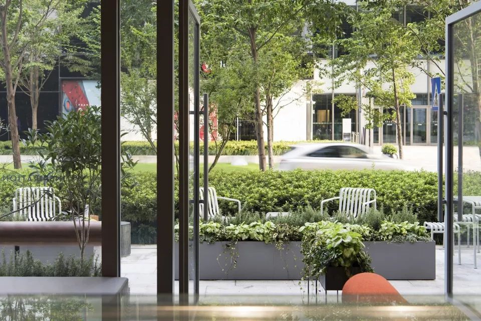 喜茶新推出的茶好喝吗,喜茶是如何被大众熟知的