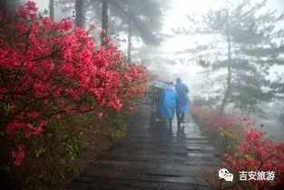 有哪些出自古诗词的成语,这30个智慧成语原来都出自诗经