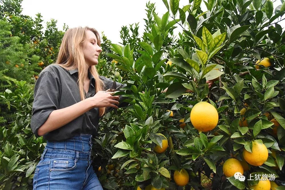 真是太好玩了！俄罗斯国际友人在上犹