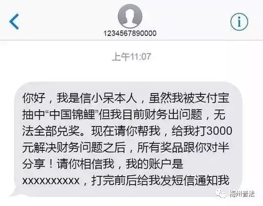 锦鲤是套路吗,中国锦鲤隐藏套路