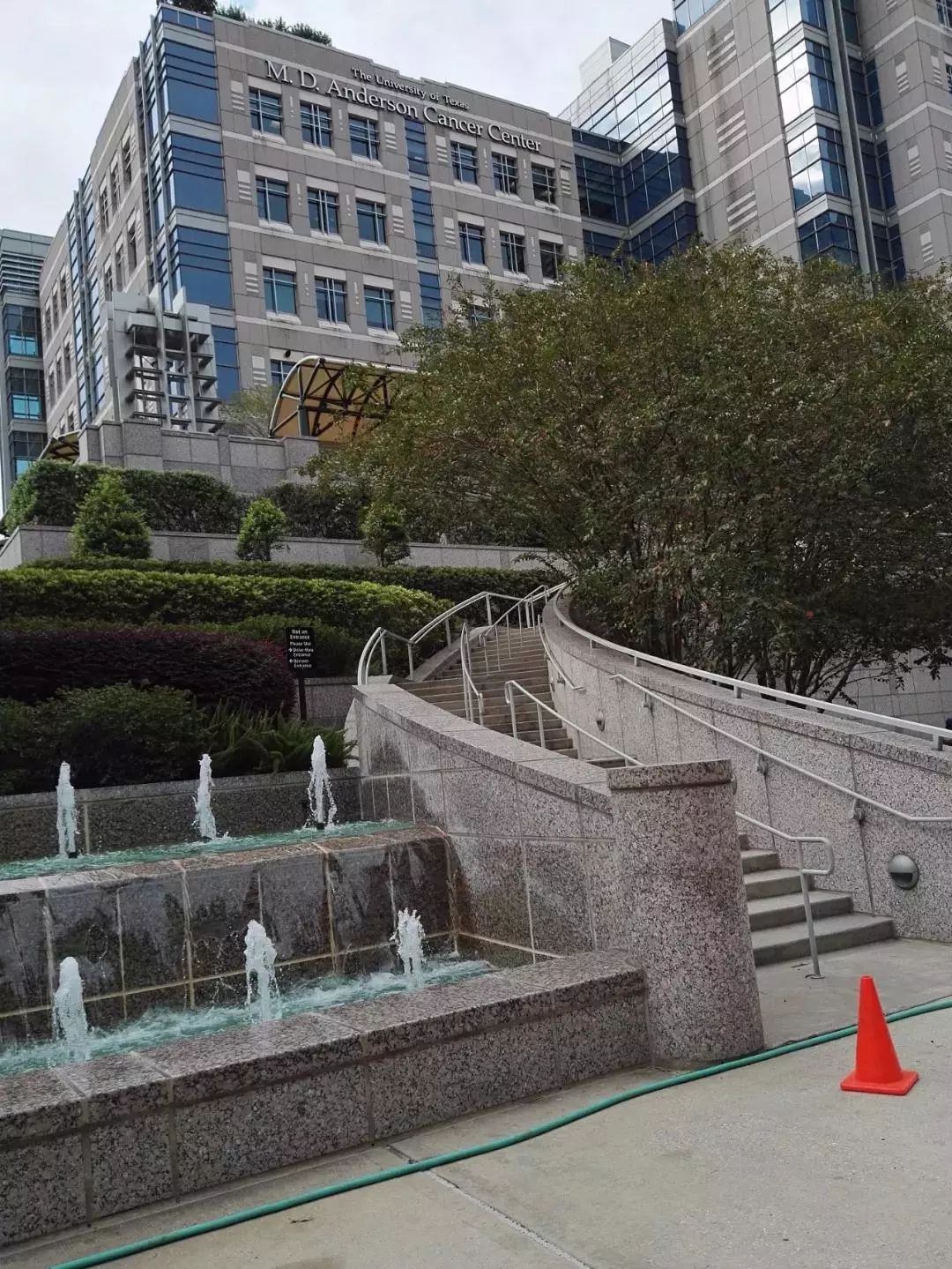 肺癌美国治疗的全部经过,肺癌指南中文版2020完整版