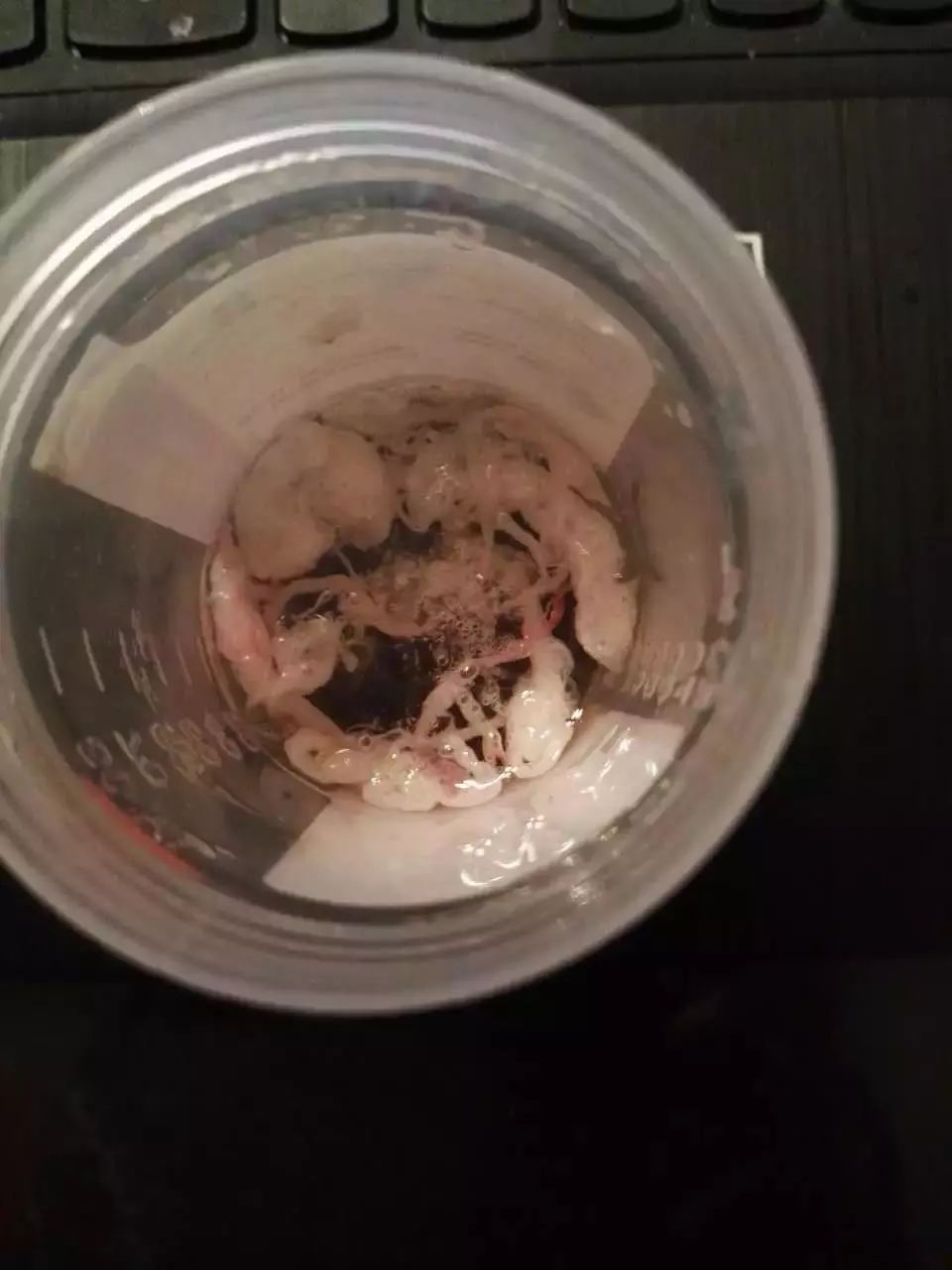 肺癌美国治疗的全部经过,肺癌指南中文版2020完整版