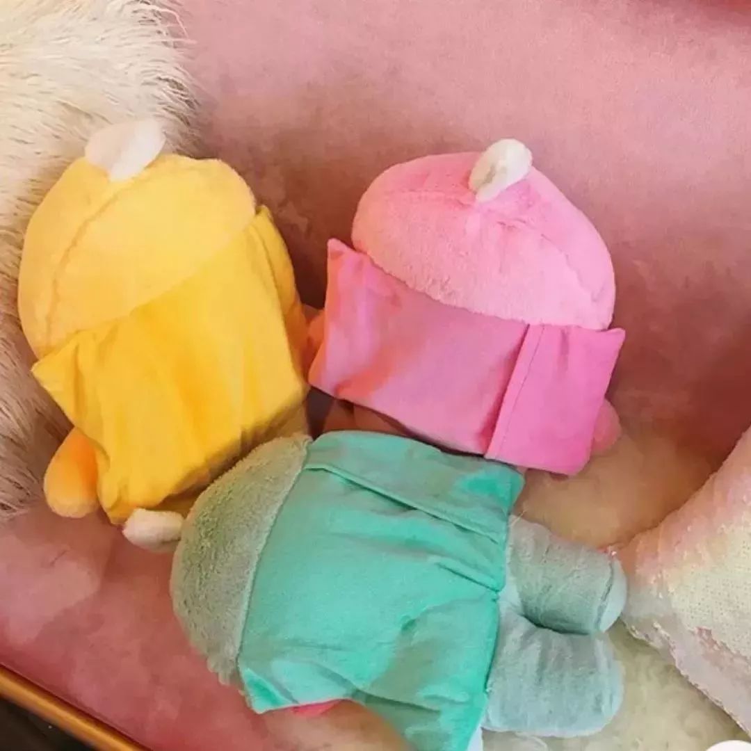 超凶的冷空气来了,高颜值电暖宝