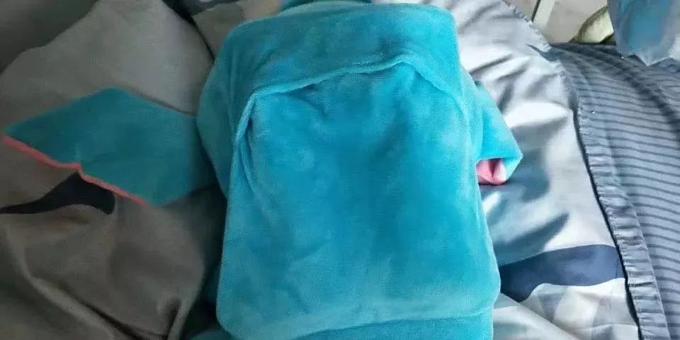 超凶的冷空气来了,高颜值电暖宝