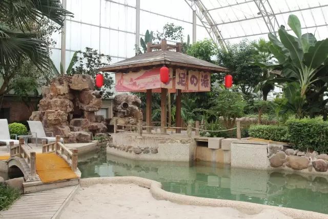 松江温泉度假村排名榜,松江河天沐温泉度假酒店