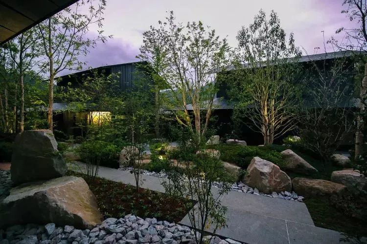 日本九州的宝藏,日本大量宝藏被发现