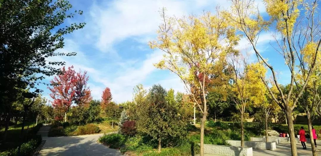 北京石景山国际雕塑公园攻略,北京市石景山区北京国际雕塑公园