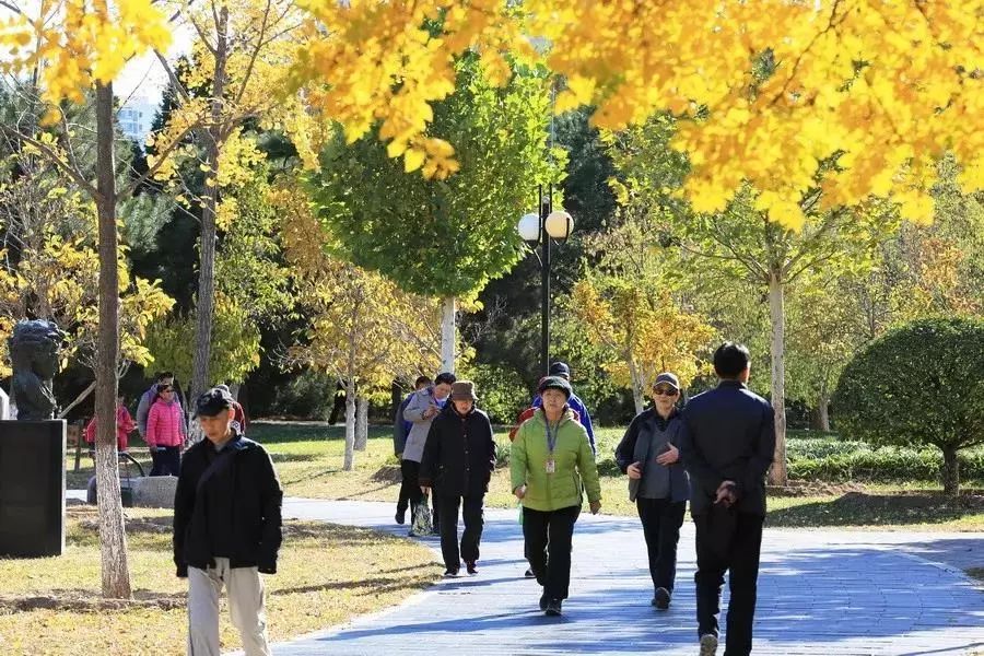 北京石景山国际雕塑公园攻略,北京市石景山区北京国际雕塑公园