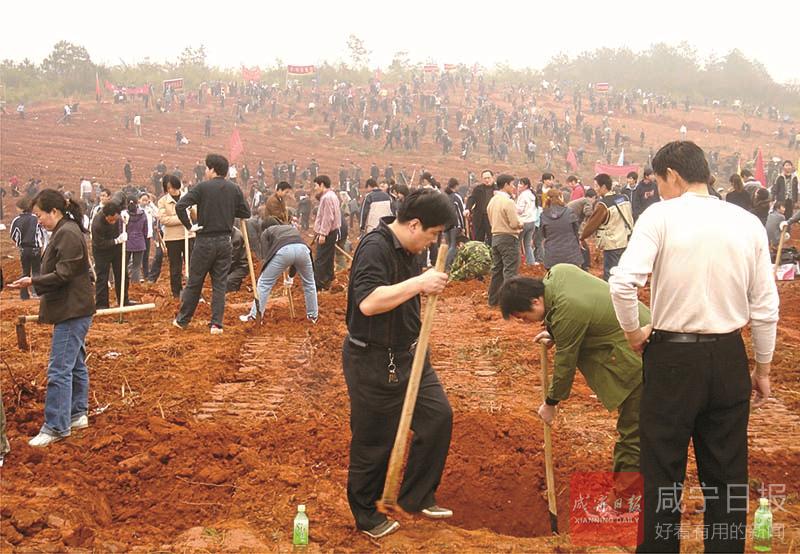林业生态文明建设与绿色发展,咸宁林业系统生态文明建设