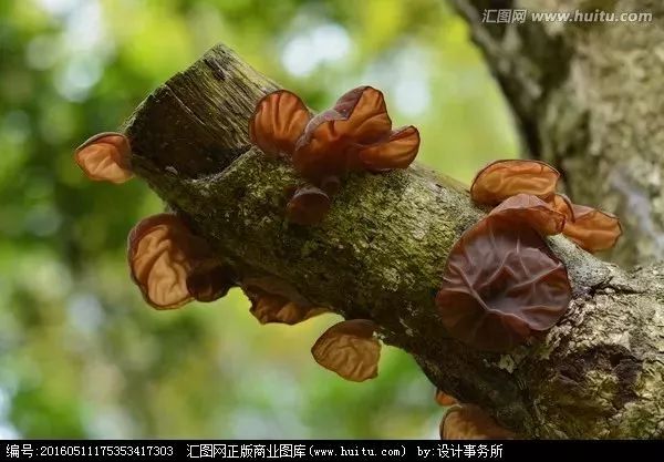 在美国用最贵的药，咏哥还是走了，世间有没有赶走癌症的药？