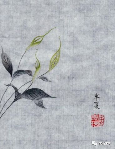 那些绝美的中药,那些你不知道的绝美中药