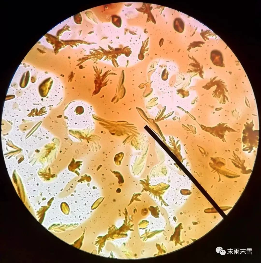 那些绝美的中药,那些你不知道的绝美中药