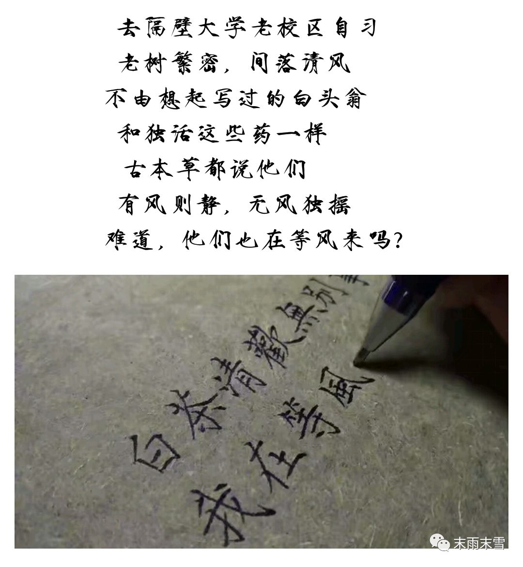 那些绝美的中药,那些你不知道的绝美中药