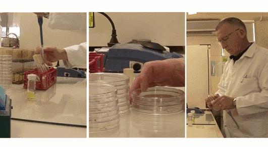 脚气脚臭脱皮克星,分享一个根治脚气脚臭方法