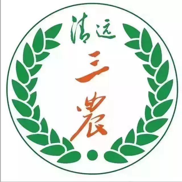 元旦火车票抢完每日几点更新,元旦期间火车票怎么抢票