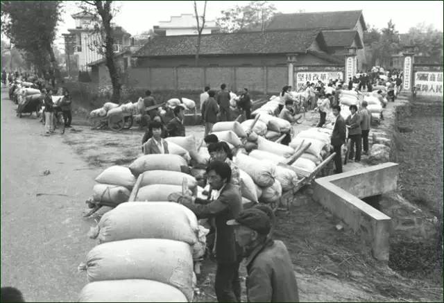 80年代交公粮真实情景视频,回忆三十多年前交公粮的情景