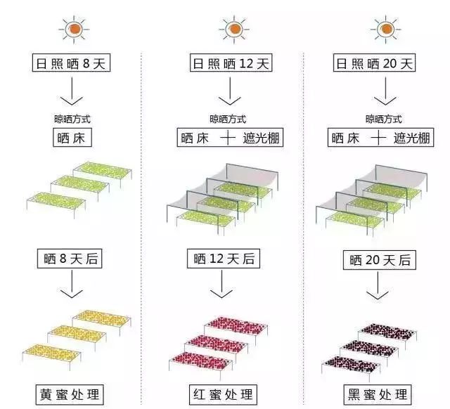 黄蜜和红蜜哪个好,新手解答