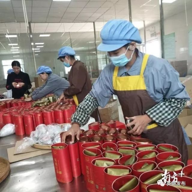 「关注」英德商户囤万斤红薯干“迎战”双十一！全市电子商务产业令人瞩目