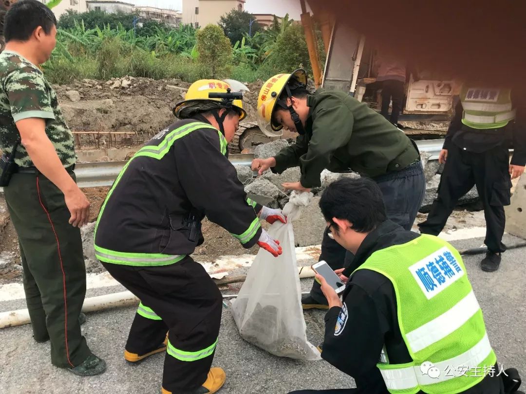 大蟒蛇视频大型挖掘机,工地挖机挖出一条巨蟒