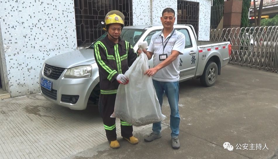 大蟒蛇视频大型挖掘机,工地挖机挖出一条巨蟒