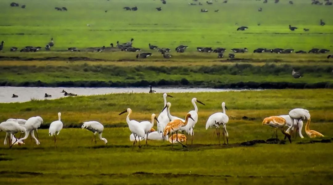 栉风沐雨破浪前行,栉风沐雨砥砺奋进