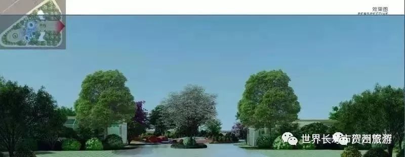 新市政公园,再过一个月这个地方美到颠覆想象