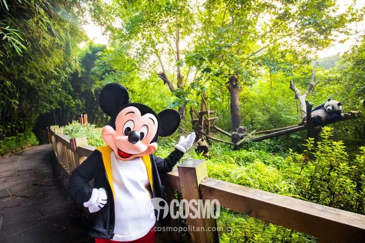 omg绫冲,绫冲omg瑙嗛