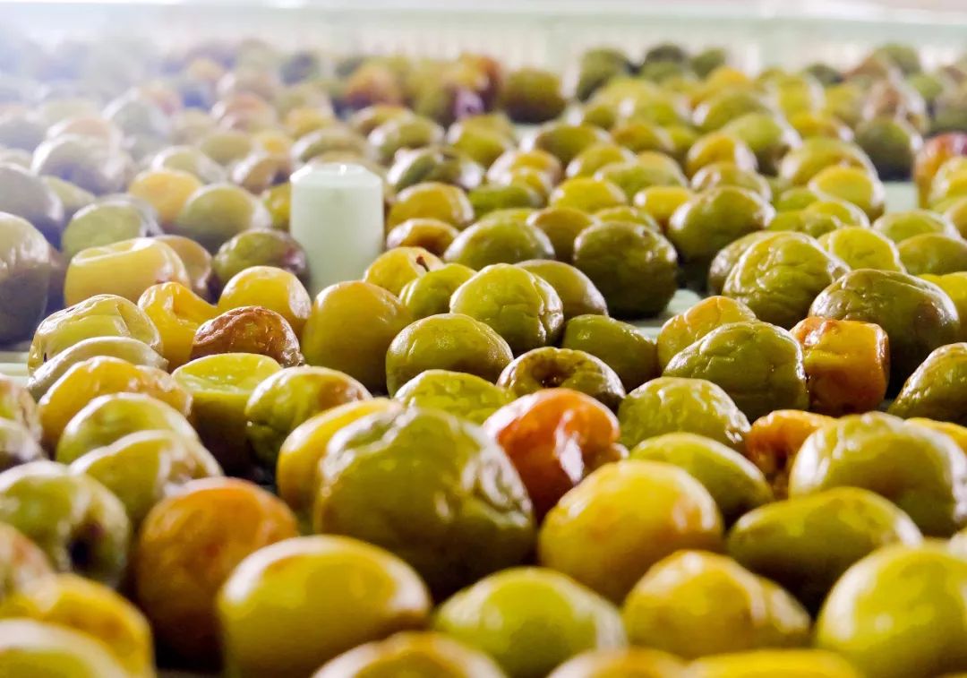 拼团丨出口日本20多年，这个“青梅大王”做的梅子，就是好吃！