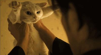 十大顶级珠宝包包品牌排名,好看的珠宝品牌推荐