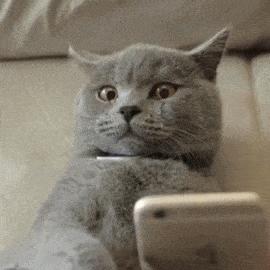 男友的密码是前女友的生日,男朋友锁屏是前女友生日