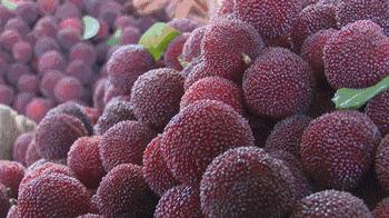 在路边买杨梅注意事项,在路边卖杨梅