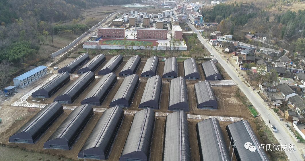 「攻坚聚焦」“菌廊药谷景线”这样的潘河你了解吗